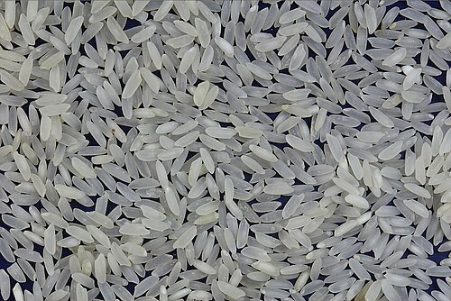 Bomba rice