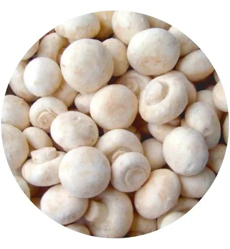 Button mushrooms